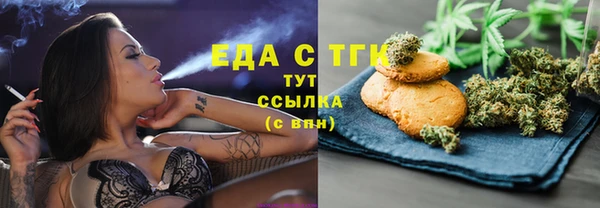 ПСИЛОЦИБИНОВЫЕ ГРИБЫ Горно-Алтайск