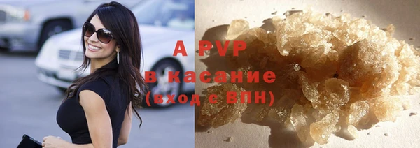 ПСИЛОЦИБИНОВЫЕ ГРИБЫ Горно-Алтайск