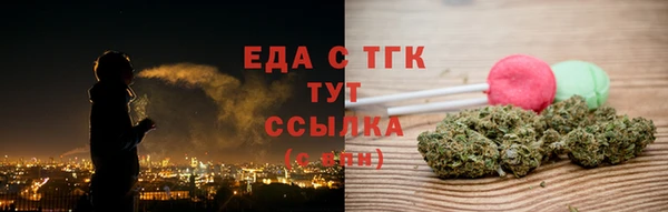 ПСИЛОЦИБИНОВЫЕ ГРИБЫ Горно-Алтайск