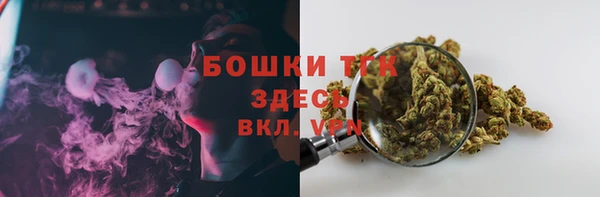 ПСИЛОЦИБИНОВЫЕ ГРИБЫ Горно-Алтайск