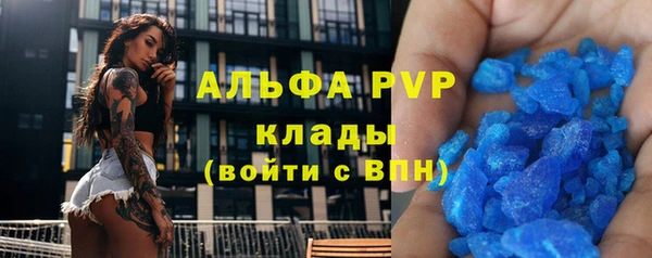 ПСИЛОЦИБИНОВЫЕ ГРИБЫ Горно-Алтайск