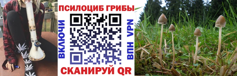 Псилоцибиновые грибы GOLDEN TEACHER ссылка на мегу рабочий сайт Кемерово купить наркотик
