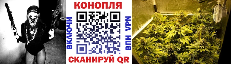 omg ТОР Кемерово Бошки марихуана White Widow